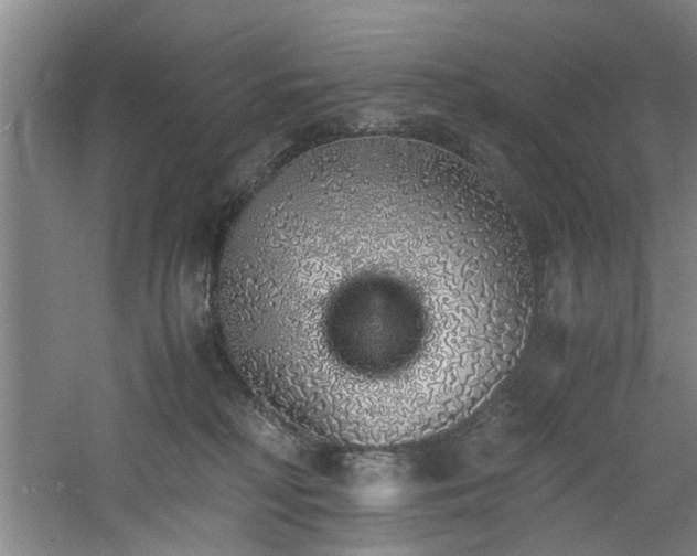 X0000060780230200511101348