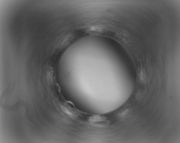 X0000060780231200511101348