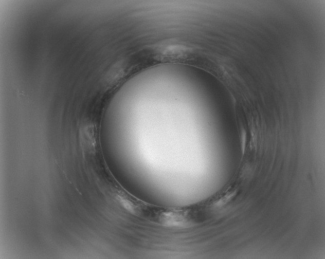 X0000060780232200511101348