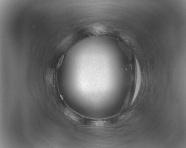 X0000060780233200511101348