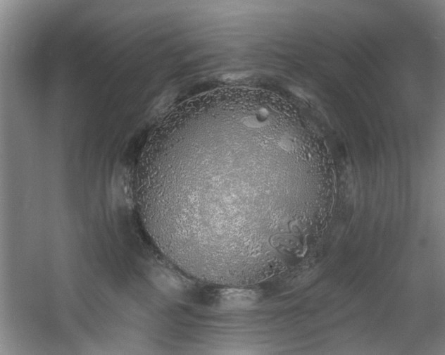 X0000060780234200511101348