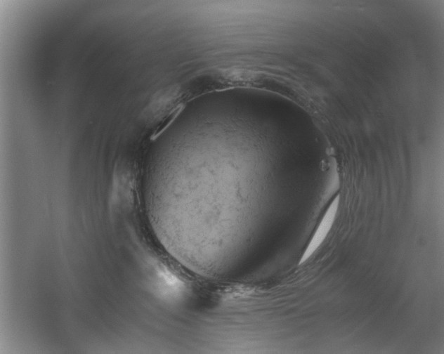 X0000060780235200511101348