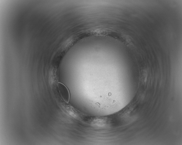 X0000060780236200511101348