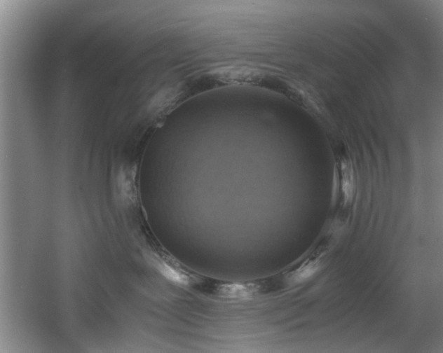 X0000060780239200511101348