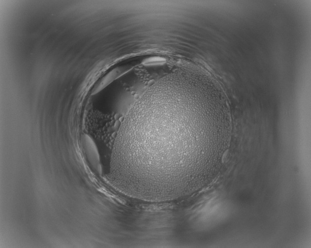 X0000060780241200511101347