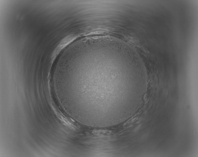 X0000060780242200511101347