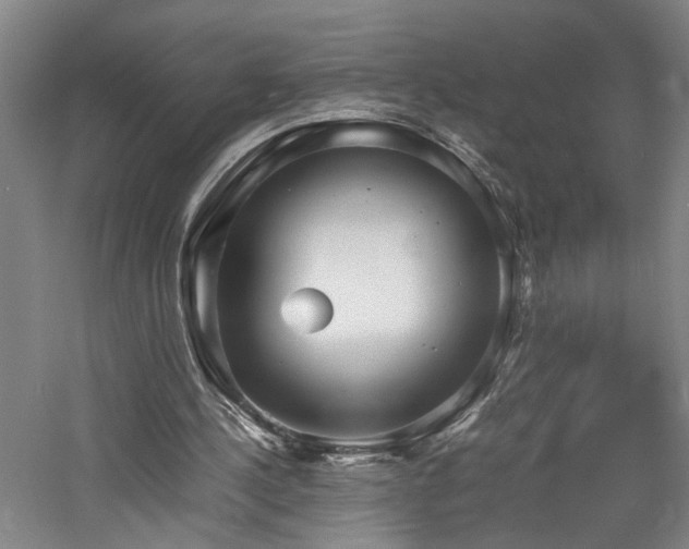 X0000060780244200511101347