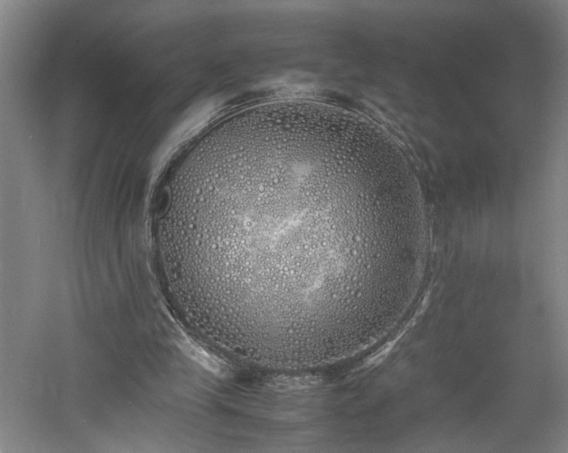 X0000060780245200511101347