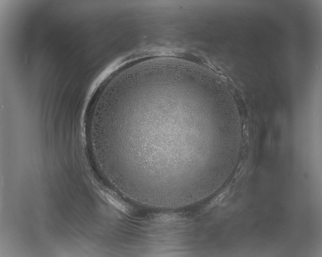 X0000060780246200511101347