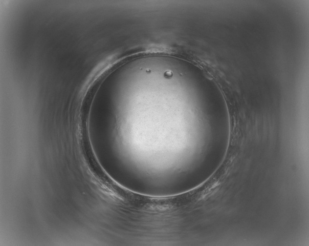 X0000060780247200511101347