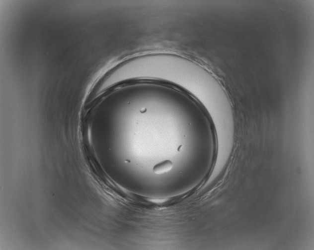 X0000060780248200511101347