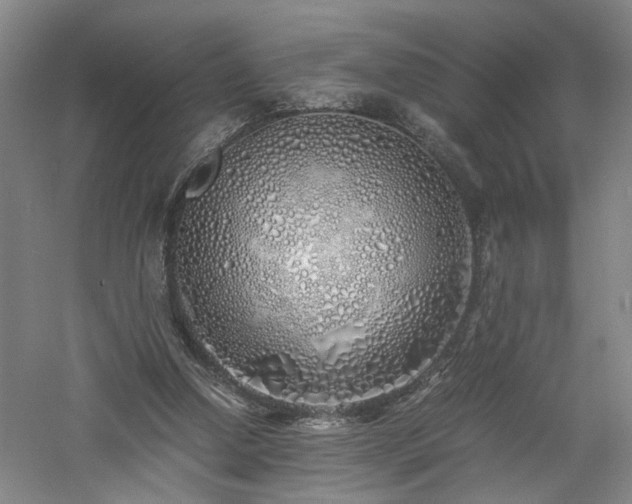 X0000060780250200511101347