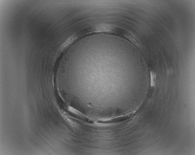 X0000060780253200511101347