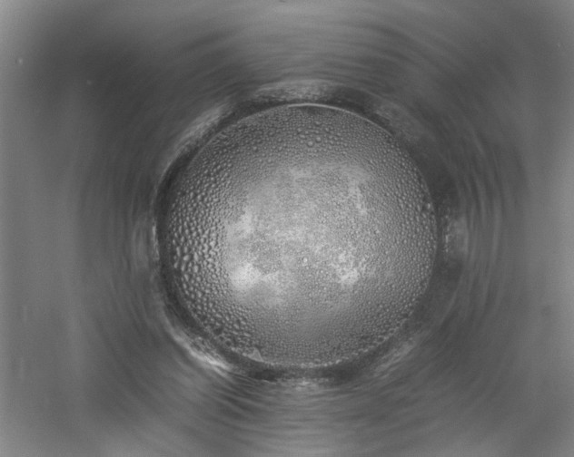 X0000060780254200511101347