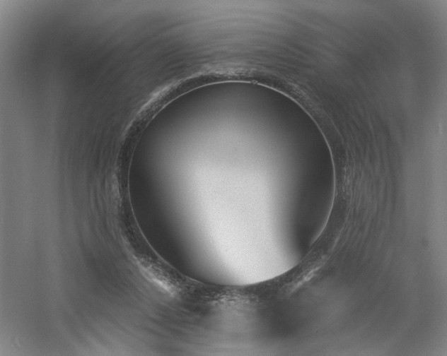 X0000060780256200511101347