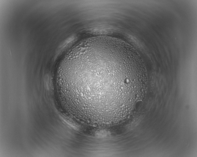 X0000060780258200511101347