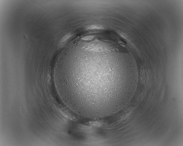 X0000060780259200511101347