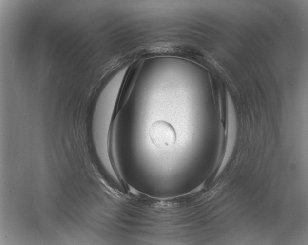 X0000060780261200511101347