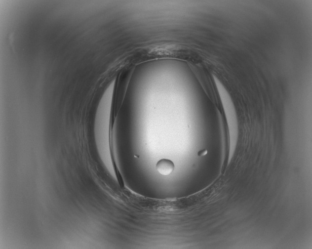 X0000060780262200511101347