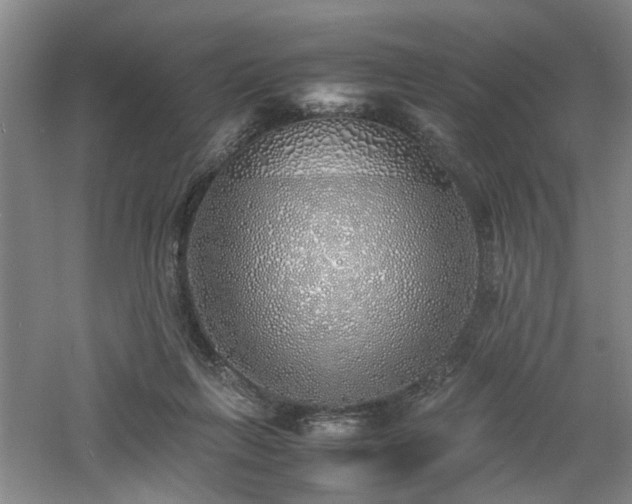 X0000060780263200511101347