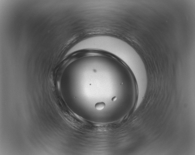 X0000060780264200511101347