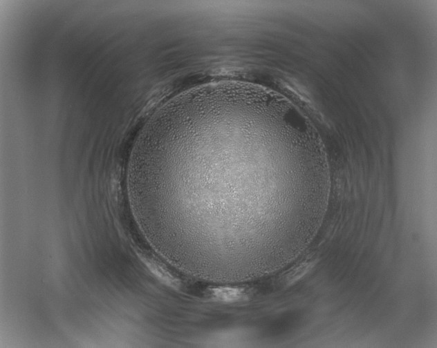 X0000060780265200511101347