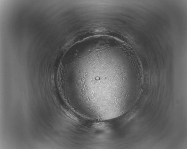 X0000060780269200511101347