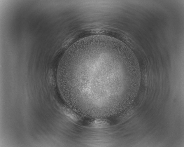 X0000060780270200511101347