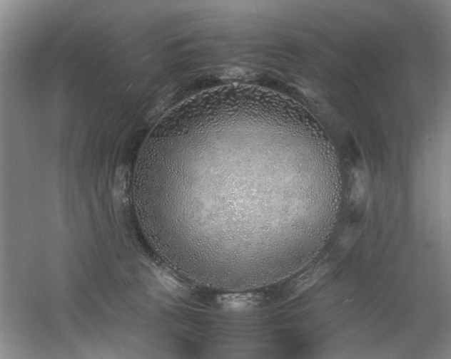 X0000060780273200511101347