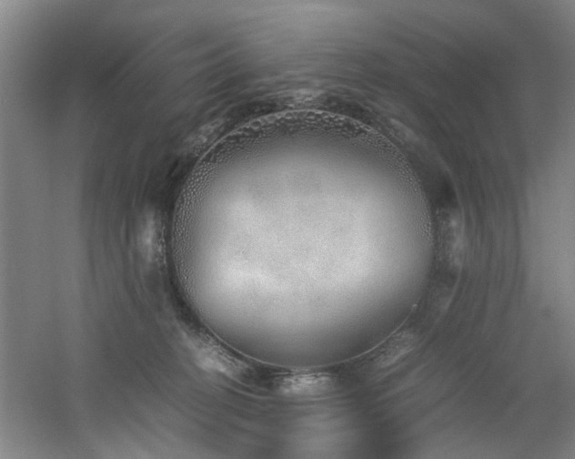 X0000060780274200511101347