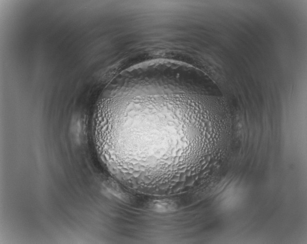 X0000060780275200511101347