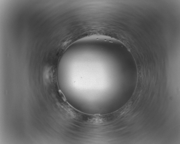 X0000060780276200511101347