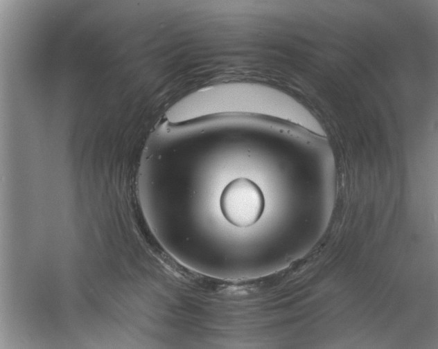 X0000060780277200511101347