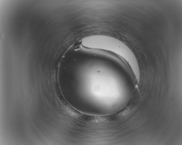 X0000060780278200511101347