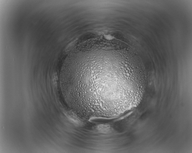 X0000060780279200511101347