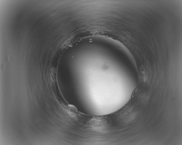 X0000060780280200511101347