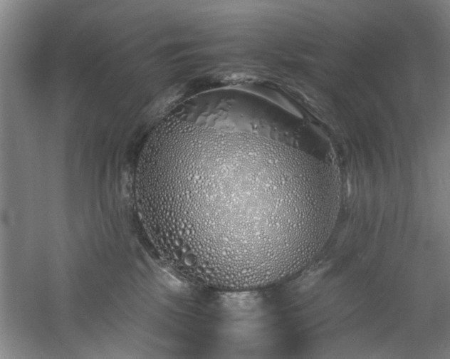 X0000060780281200511101347