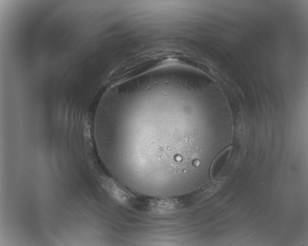 X0000060780282200511101348