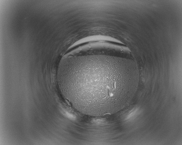 X0000060780283200511101348