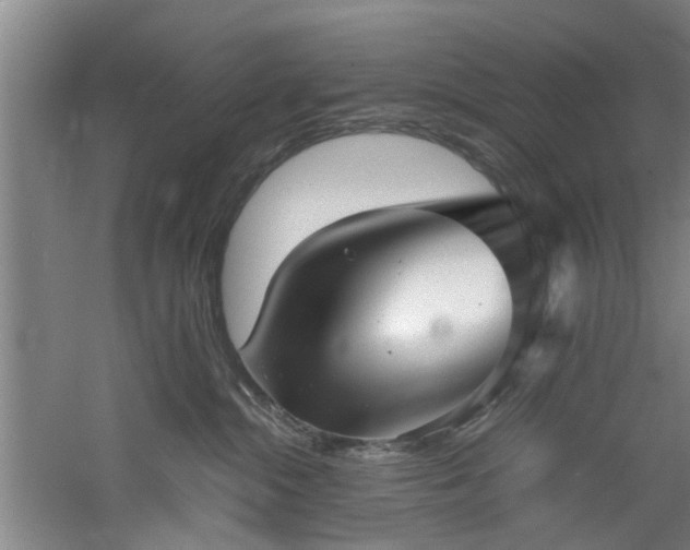 X0000060780284200511101348