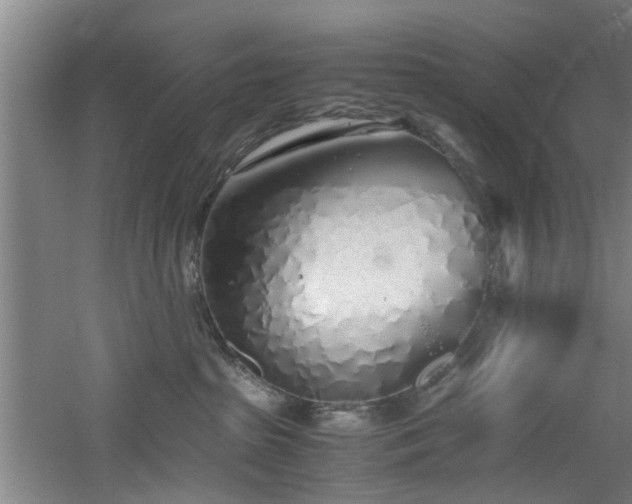 X0000060780285200511101348