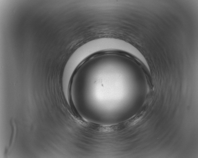 X0000060780287200511101348