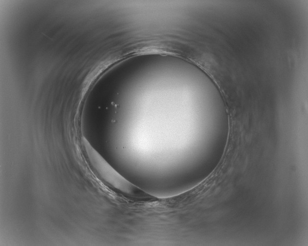 X0000060780289200511101347