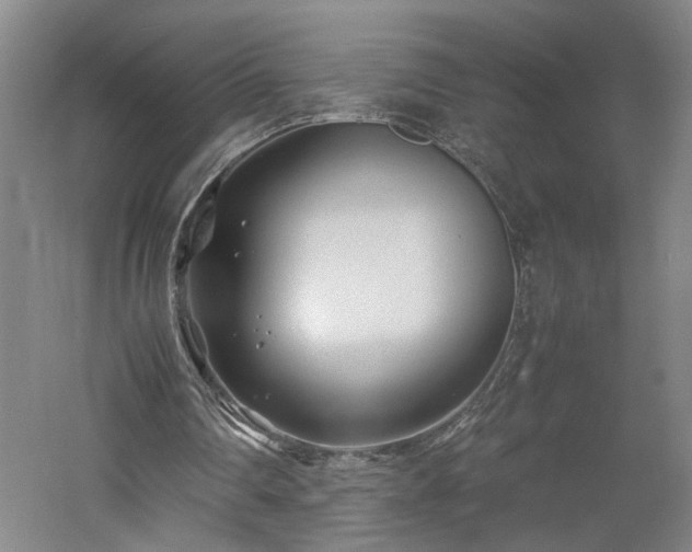 X0000060780290200511101347