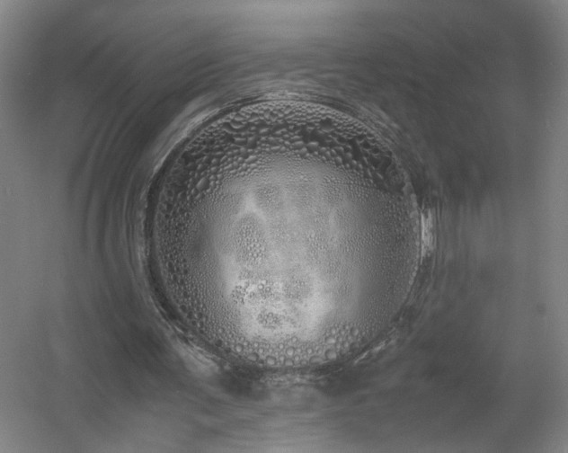 X0000060780291200511101347