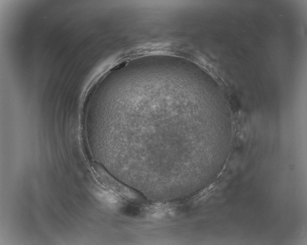 X0000060780293200511101347