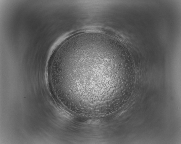 X0000060780294200511101347