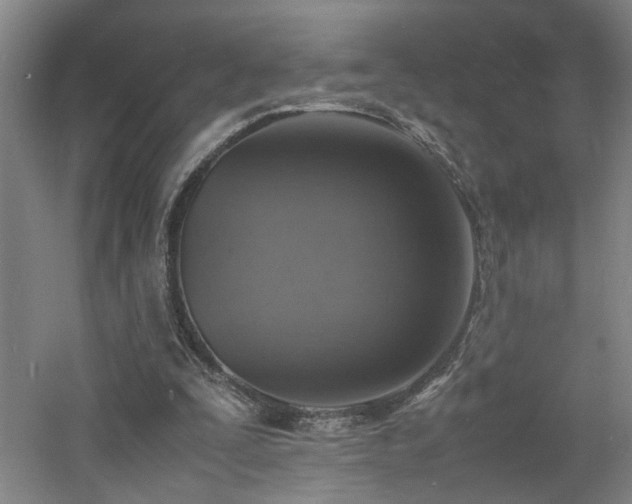 X0000060780295200511101347