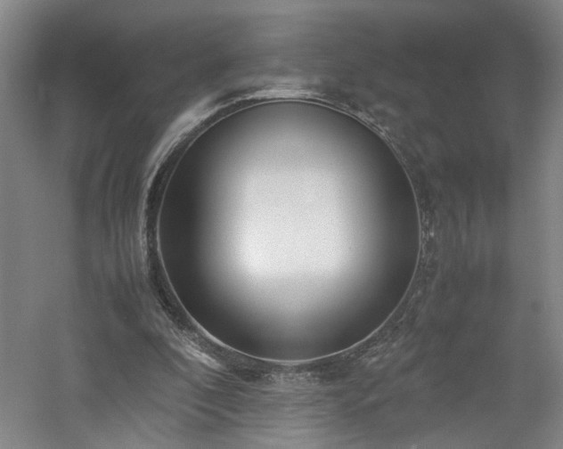 X0000060780296200511101347