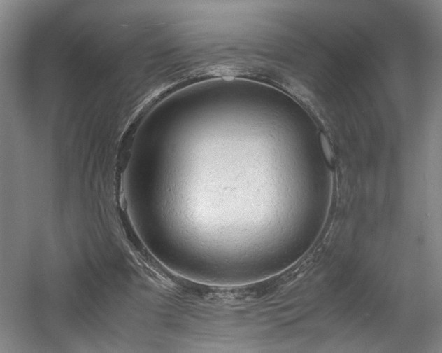 X0000060780297200511101347